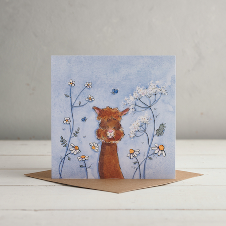 Cowparsley Daisy Cards