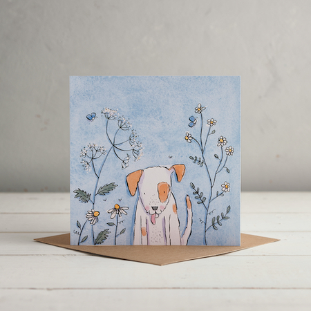 Cowparsley Daisy Cards