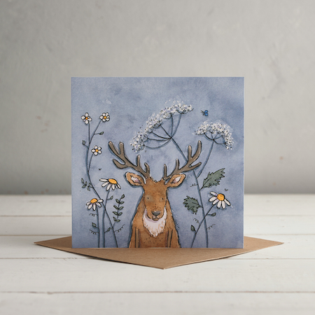 Cowparsley Daisy Cards