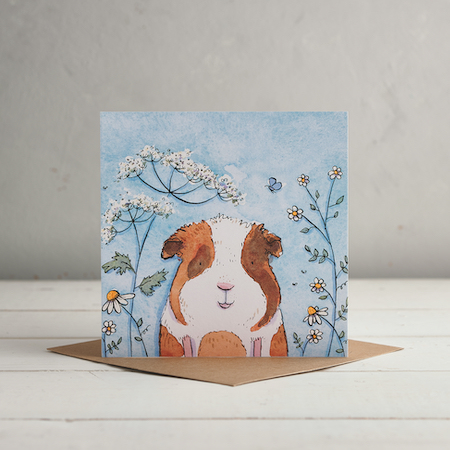 Cowparsley Daisy Cards