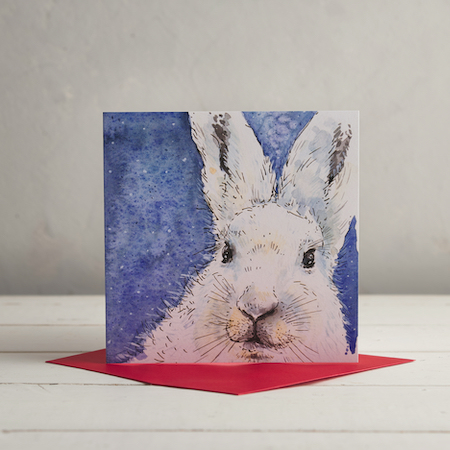 Buy Arctic Hare Christmas Greetings Card from Helen Wiseman Illustration